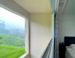 Blk 535 Bukit Batok Street 52 (Bukit Batok), HDB Executive #574070391